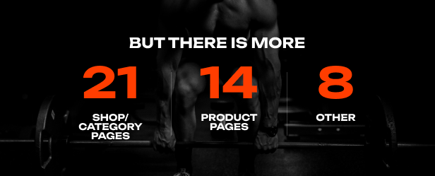 Fitrush Theme GPL Latest Version